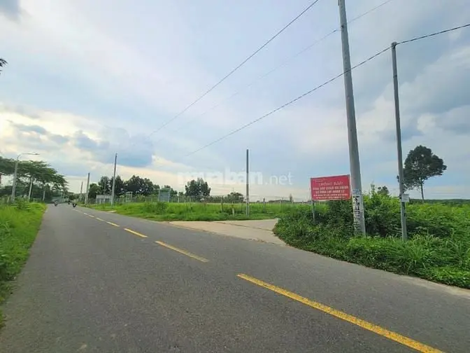 Đất Bán 1000M2 Giá 5Tr/M2 Có 200M2 Thổ Cư Xã Bình Lợi Giá Tốt Đầu Tư