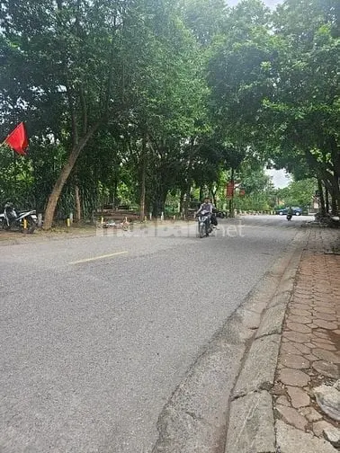 6034908 ảnh đại diện 1