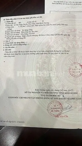 6034571 ảnh đại diện 1