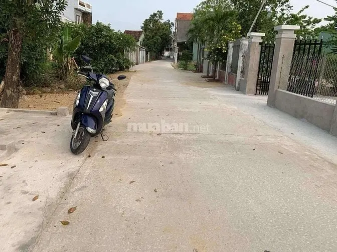 6034792 ảnh đại diện 1