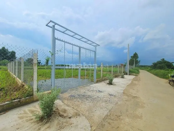Đất Bán 1000M2 Giá 5Tr/M2 Có 200M2 Thổ Cư Xã Bình Lợi Giá Tốt Đầu Tư