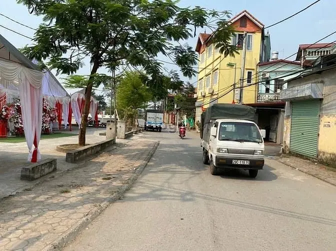 6034762 ảnh đại diện 1