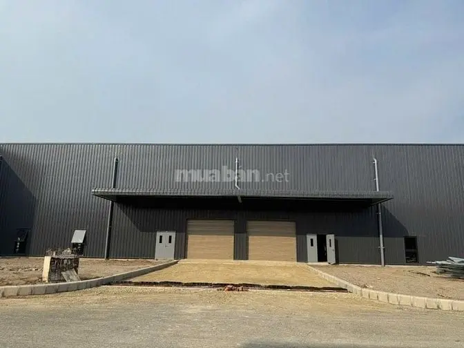 6034644 ảnh đại diện 1