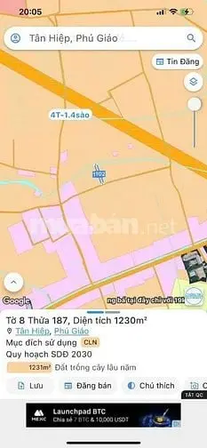 Bác Em Muốn Sang Lại Miếng Vườn Ở Phú Giáo Bình Dương
