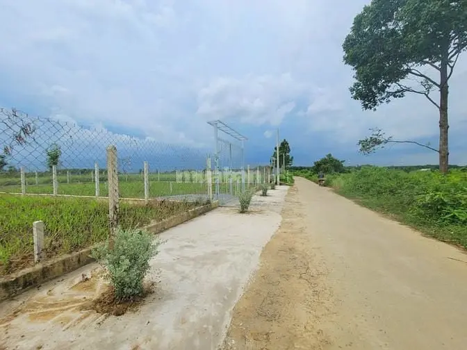 Đất Bán 1000M2 Giá 5Tr/M2 Có 200M2 Thổ Cư Xã Bình Lợi Giá Tốt Đầu Tư