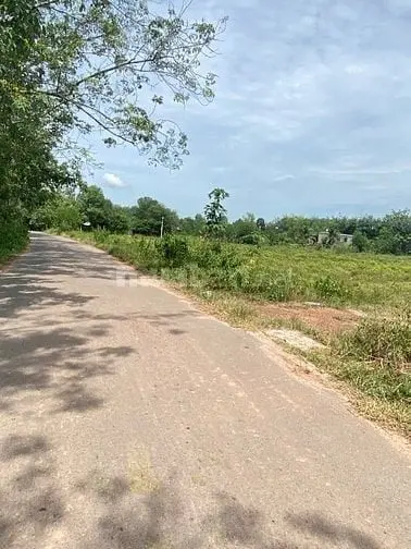 6035006 ảnh đại diện 1