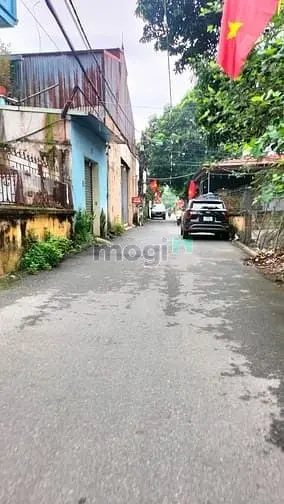 6034917 ảnh đại diện 1