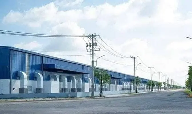 6034913 ảnh đại diện 1