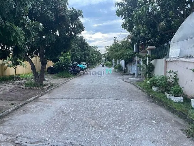 6034916 ảnh đại diện 1