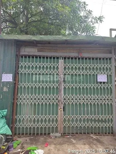 6034926 ảnh đại diện 1