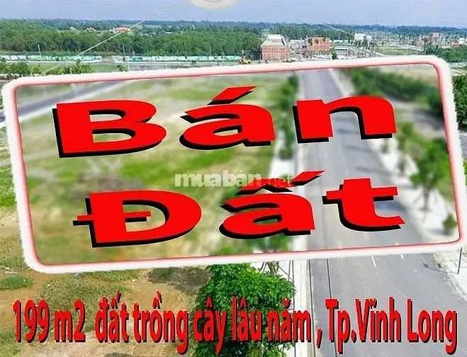 6035014 ảnh đại diện 1