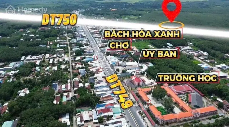6035225 ảnh đại diện 1