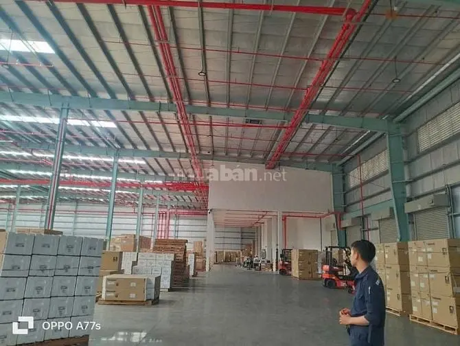 Cho Thuê Kho Kv: 5.000M2 Bình Tân, Đường Container, Giá 100K/M2