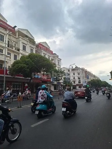 6034982 ảnh đại diện 1