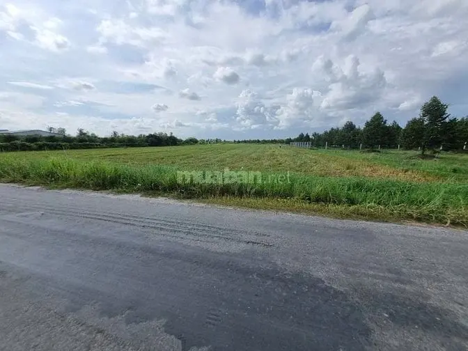 1,3 Mẫu Ngay Khu Đô Thị, Đường Nhựa. Kcn 3200Ha. 9 Tỷ