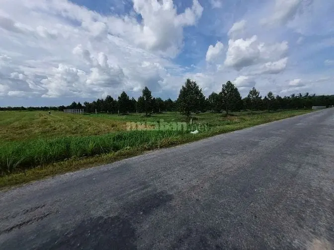 1,3 Mẫu Ngay Khu Đô Thị, Đường Nhựa. Kcn 3200Ha. 9 Tỷ