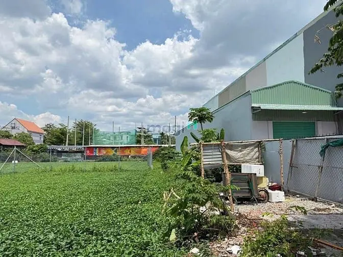 Đất Thổ Cư 1 Sẹc Đường Thạnh Xuân 25, Dt:5Mx46M, Hướng Tây