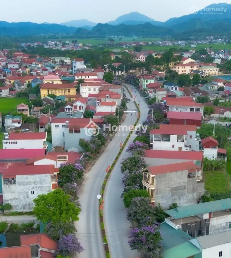 6035093 ảnh đại diện 1