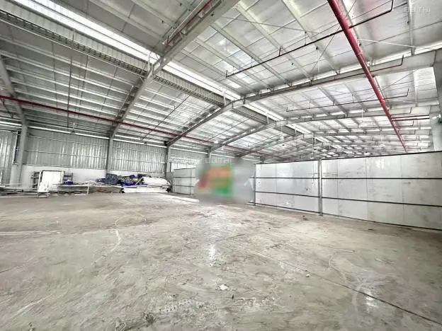 6035142 ảnh đại diện 1