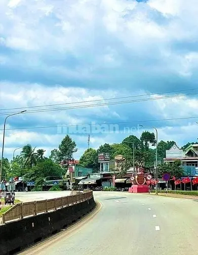 6035000 ảnh đại diện 1