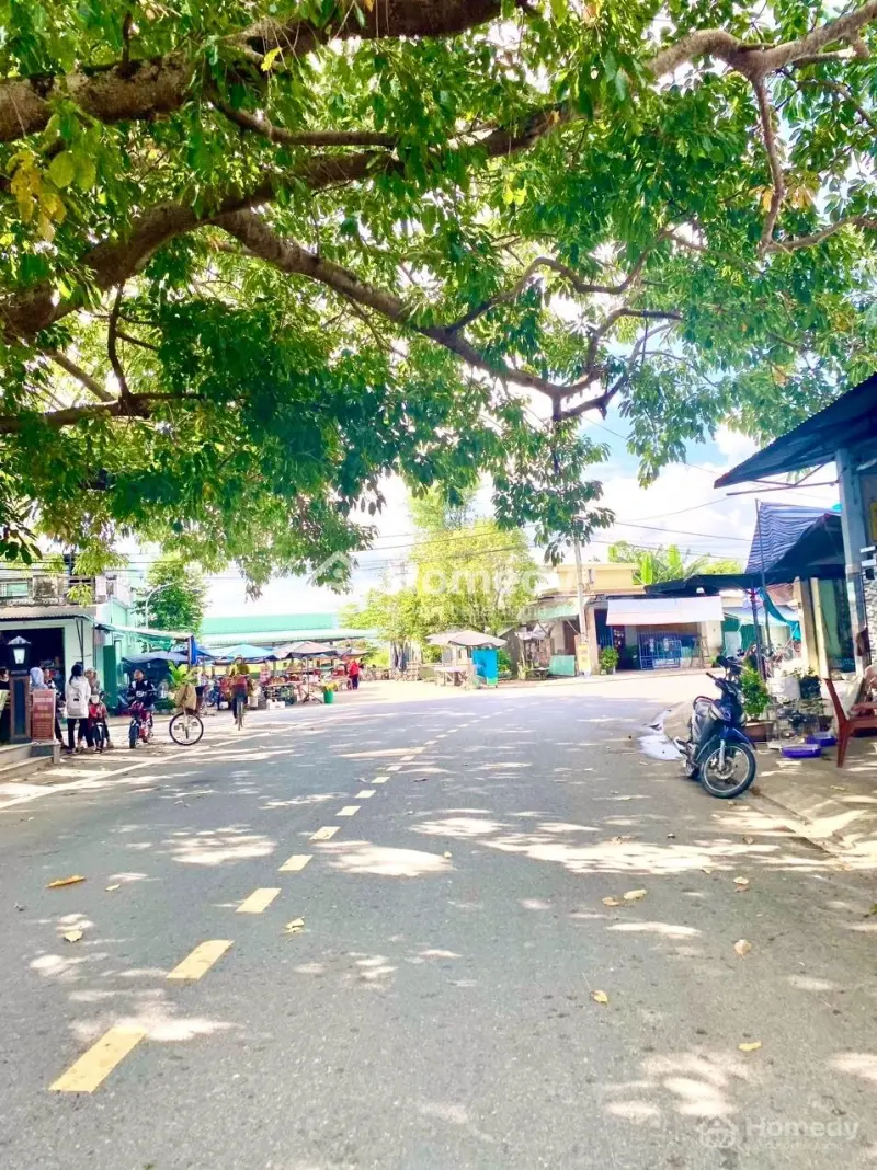 6034932 ảnh đại diện 1
