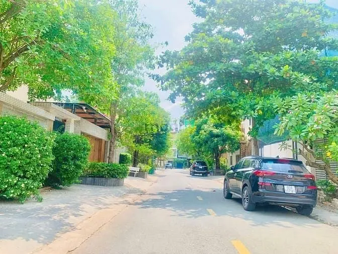 6034991 ảnh đại diện 1
