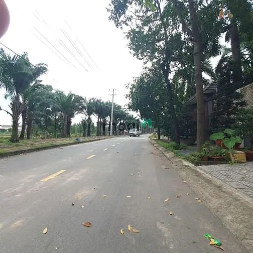 6034992 ảnh đại diện 1