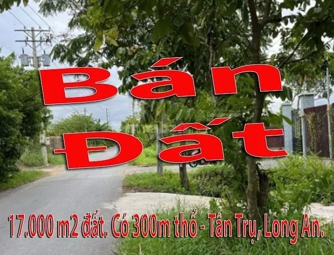 6035044 ảnh đại diện 1