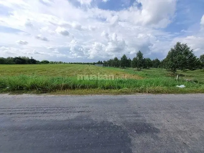 1,3 Mẫu Ngay Khu Đô Thị, Đường Nhựa. Kcn 3200Ha. 9 Tỷ