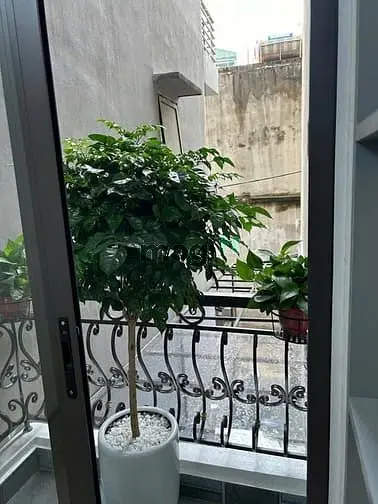 6035108 ảnh đại diện 1