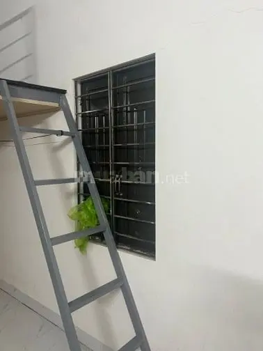 Cho Thuê Nhà Chính Chủ Gần Hồ Tây An Ninh Tốt