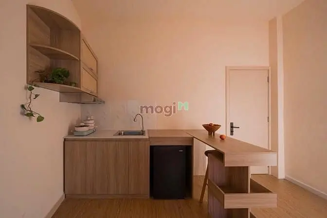 Căn Hộ Cao Cấp Đinh Tiên Hoàng Gần Cv Lê Văn Tám, Đh Nhân Văn Quận 1