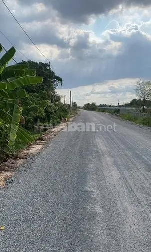 Bán Đất Trồng Cây Lâu Năm 2.842M Xã Hưng Long, Cao Tốc Bến Lức- Lt