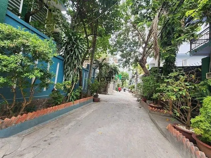 6035328 ảnh đại diện 1