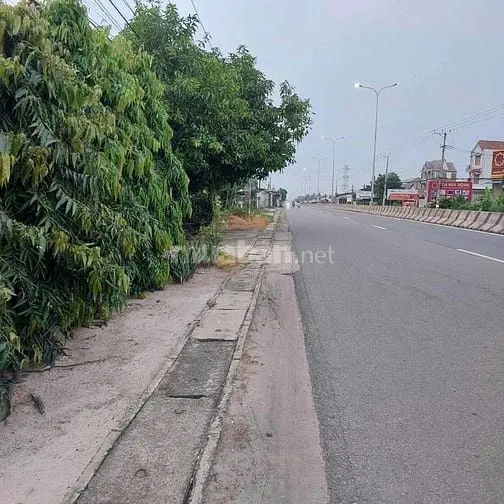 6035400 ảnh đại diện 1