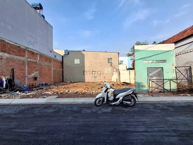 6035460 ảnh đại diện 1