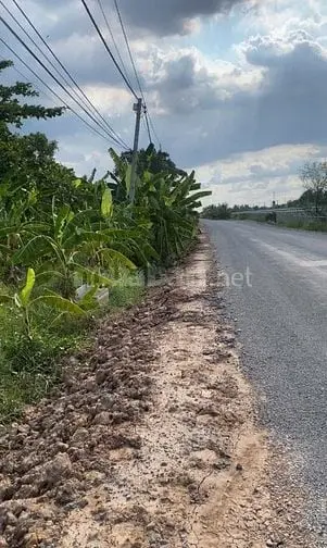 Bán Đất Trồng Cây Lâu Năm 2.842M Xã Hưng Long, Cao Tốc Bến Lức- Lt