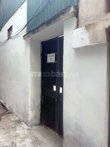6035391 ảnh đại diện 1