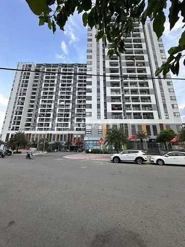 6035461 ảnh đại diện 1
