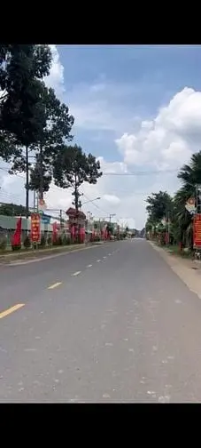 6035330 ảnh đại diện 1