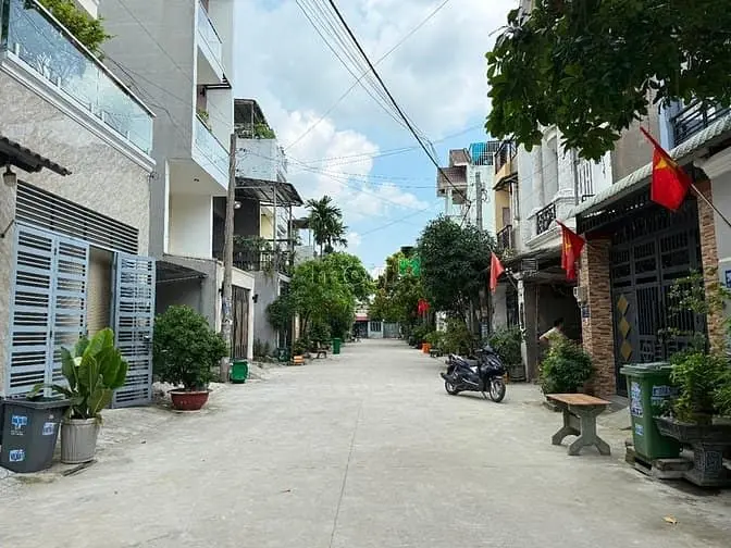 6035453 ảnh đại diện 1
