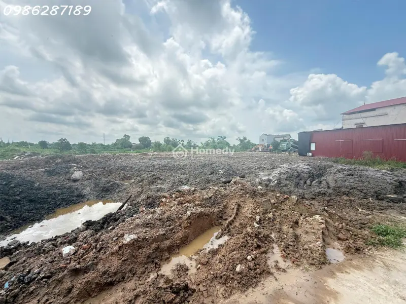 6035385 ảnh đại diện 1