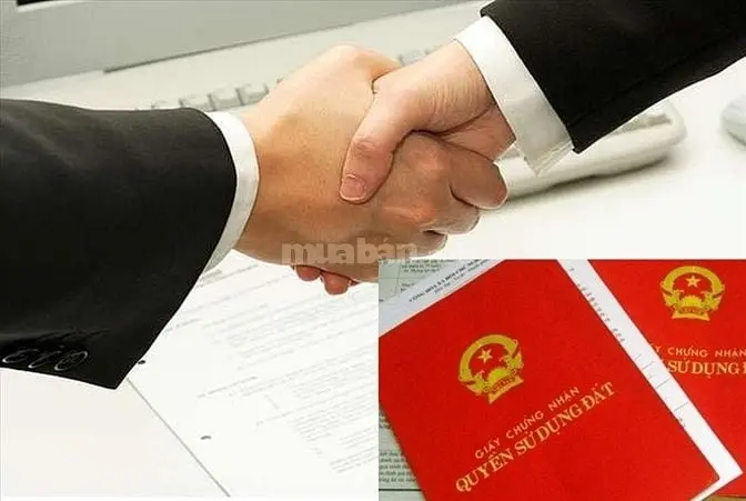 6035303 ảnh đại diện 1