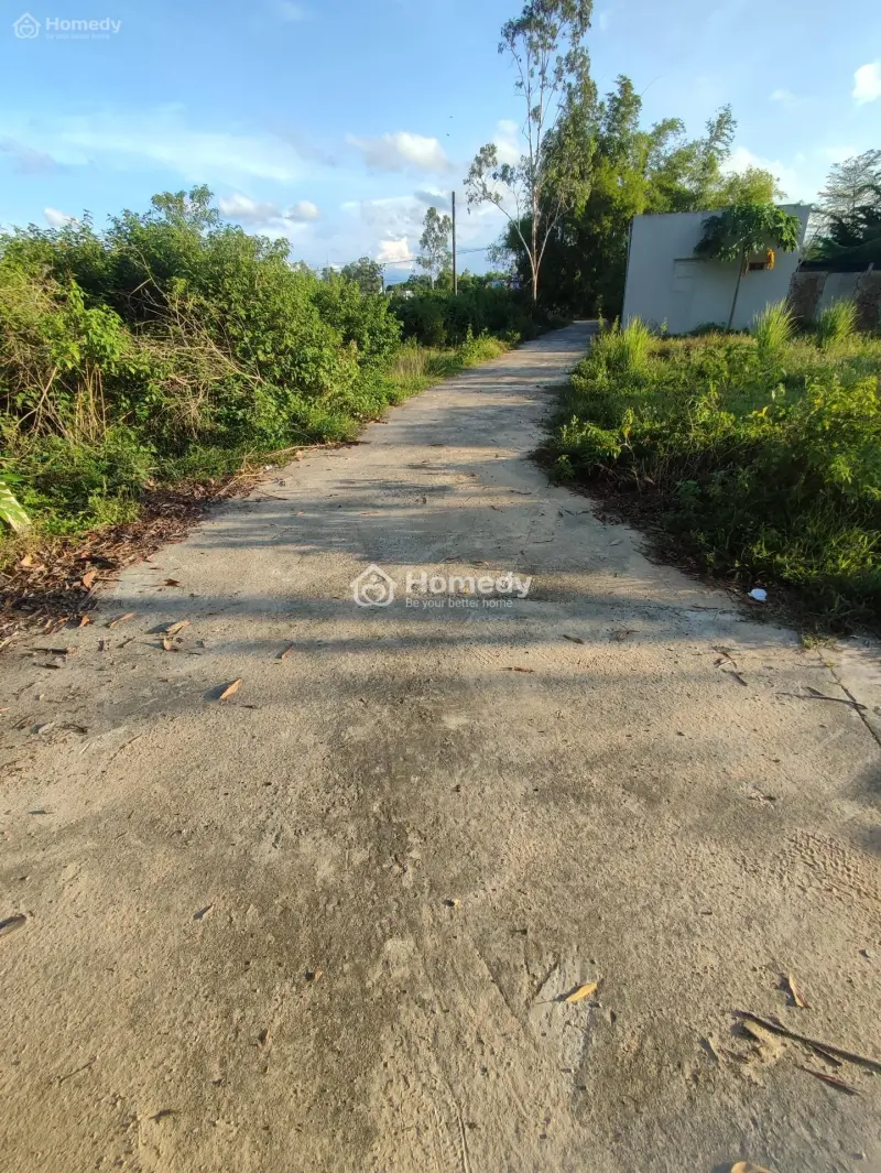 6035263 ảnh đại diện 1