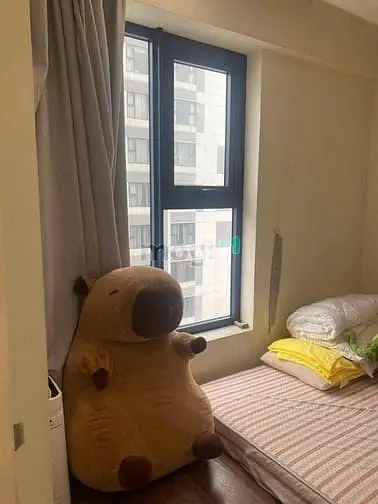 Chung Cư Ruby Garden, Nguyễn Sỹ Sách, P15, Tb, 57M2, 1Pn, 2Wc, 8Tr/Th.