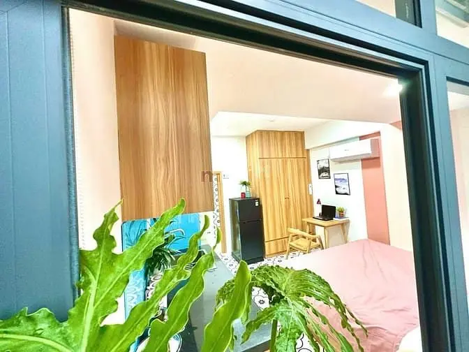 Chdv Cửa Sổ Thoáng Mát Gần Dh Maketing, Tdtu, 5P Qua Q4