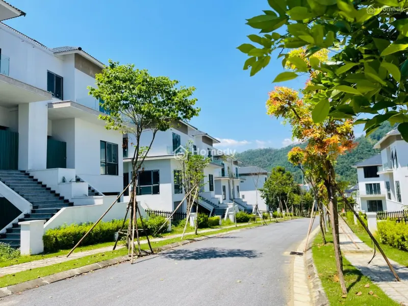 Bán Căn Biệt Thự Song Lập Khu C, Diện Tích 316M2 - Giá Rẻ Nhất Thị Trường Chỉ 60Tr/M2