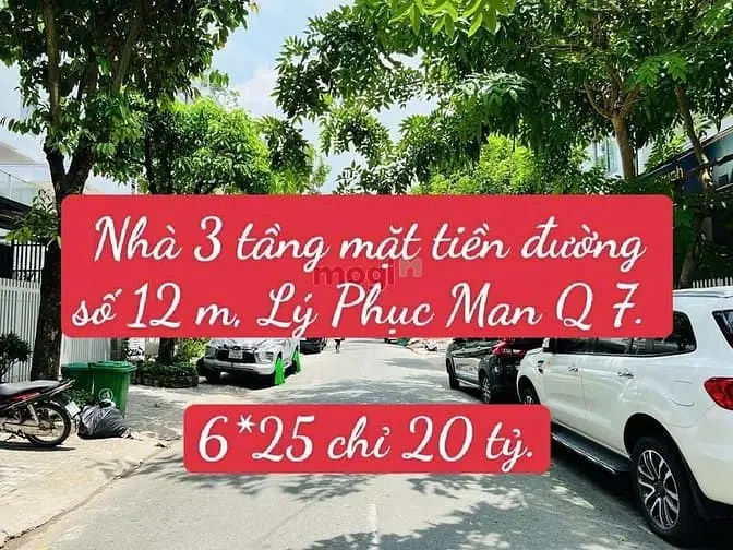6035955 ảnh đại diện 1