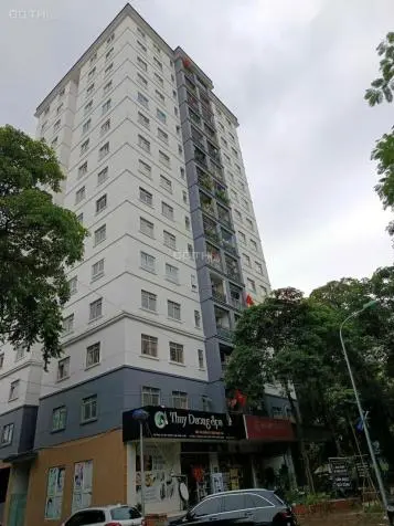 6035701 ảnh đại diện 1