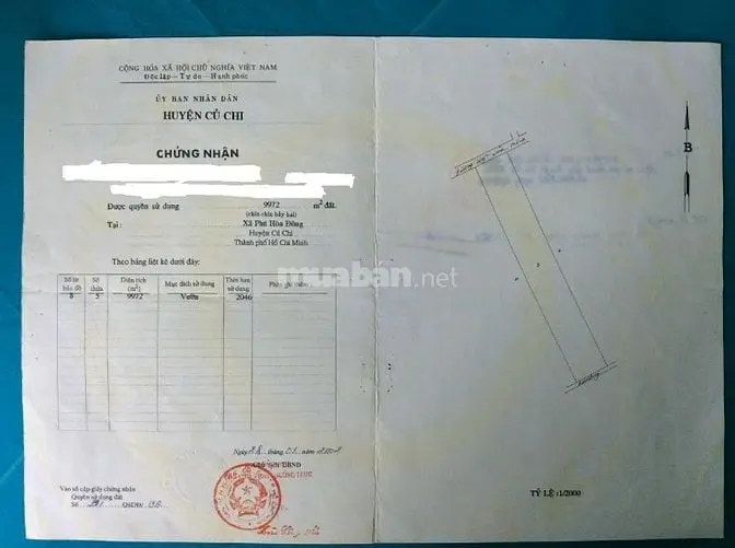 6035699 ảnh đại diện 1